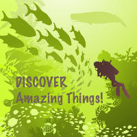 discover-200