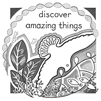 Discover amazing things